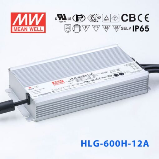 Mean Well Power Supply HLG600